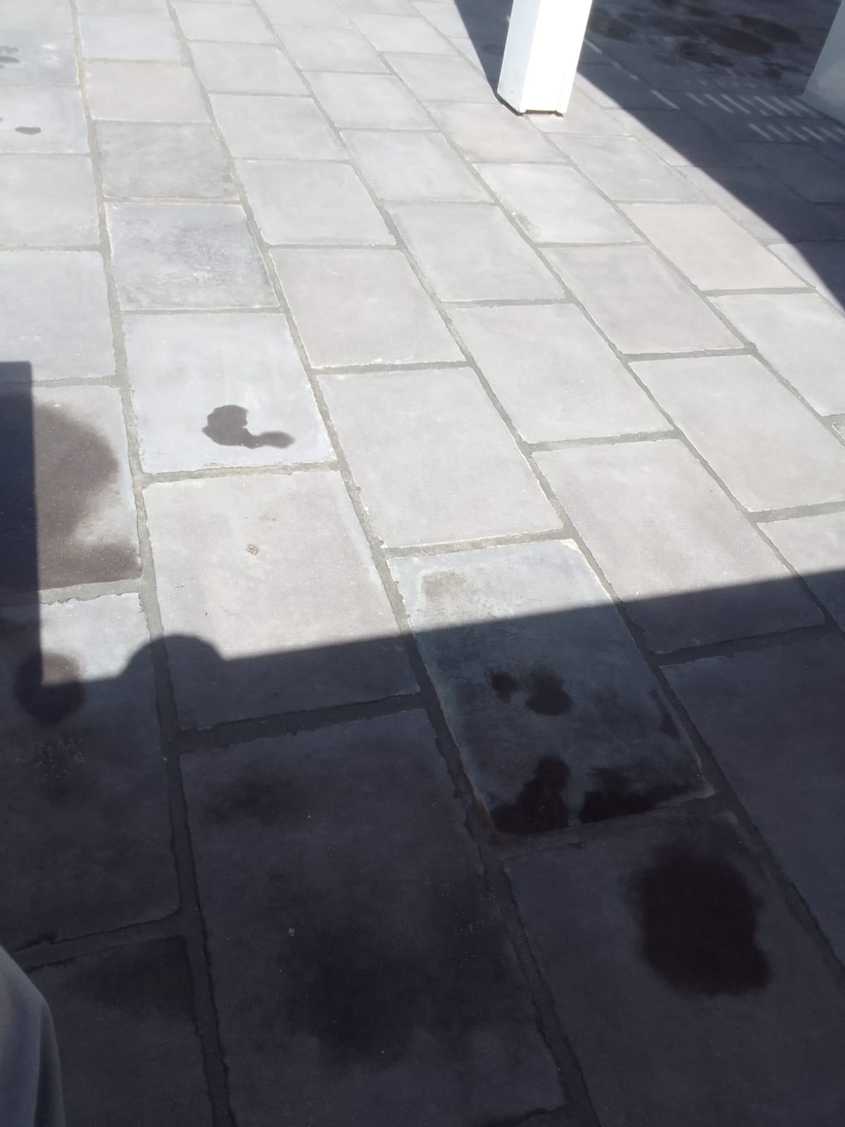 WhatsApp Image 2026-01-22 at 11.28.16