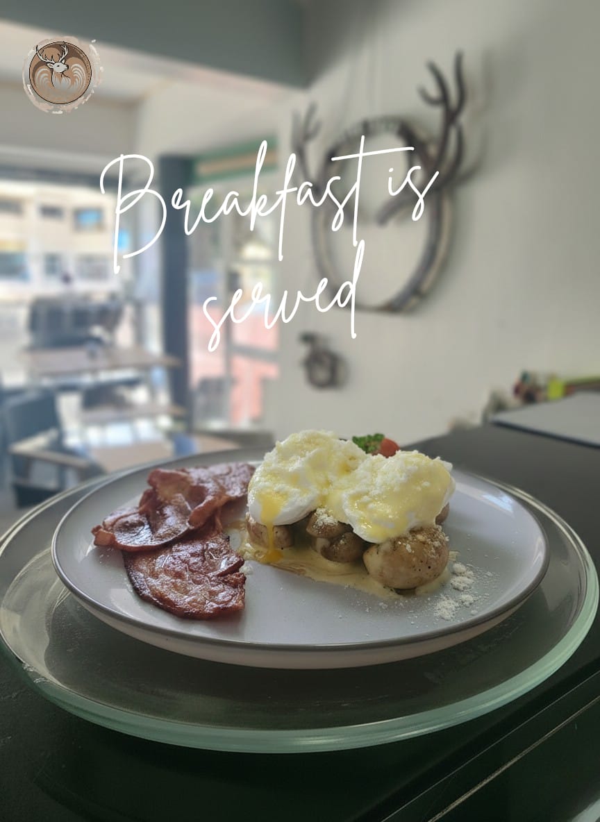 WhatsApp Image 2026-03-09 at 11.23.32 (1)