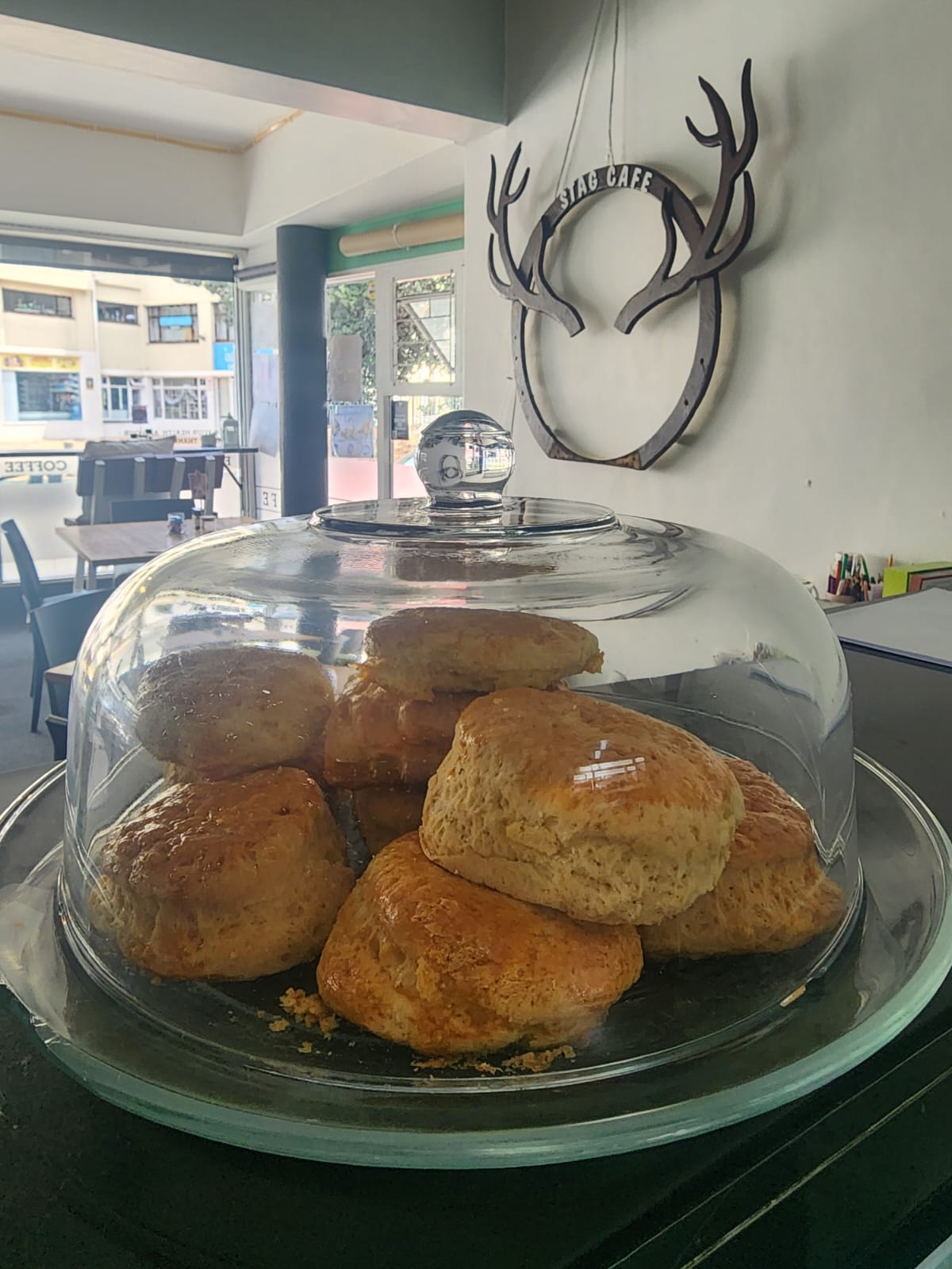 WhatsApp Image 2026-03-09 at 11.30.50 (1)