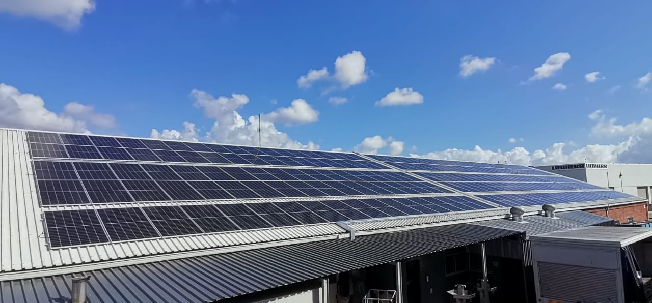 WhatsApp Image 2026-03-19 at 08.26.27 (1)