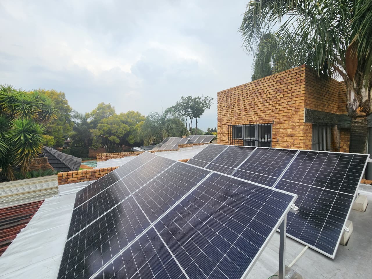 WhatsApp Image 2026-03-19 at 08.26.27