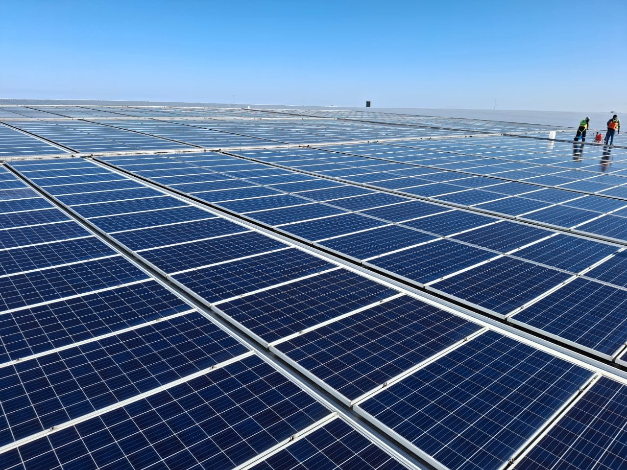 WhatsApp Image 2026-03-19 at 08.26.28 (1)