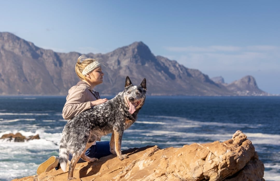 WhatsApp Image 2026-03-27 at 16.39.21