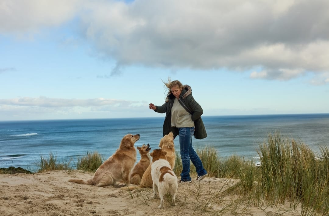 WhatsApp Image 2026-03-27 at 16.40.23